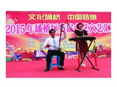 挖掘民间曲艺 繁荣文化艺术埇桥区首